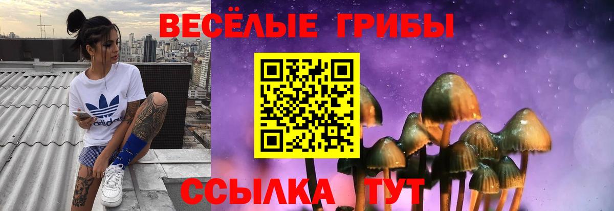 Псилоцибиновые грибы мухоморы Михайловка
